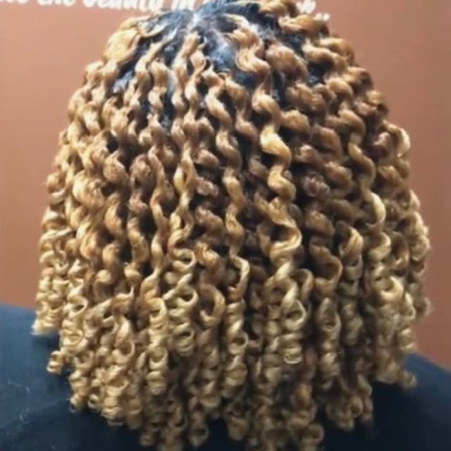 Weekly Twistout Package - SMedium